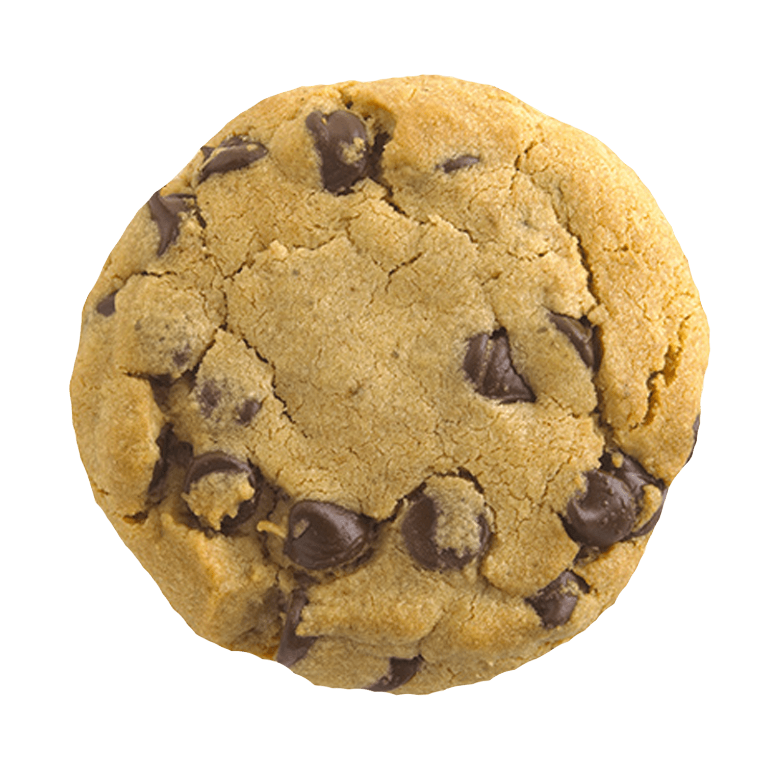 Picture of a Cookie